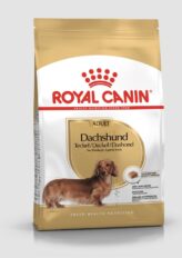 Royal Canin kuivtoit 1,5kg taksikoerale täiskasvanud