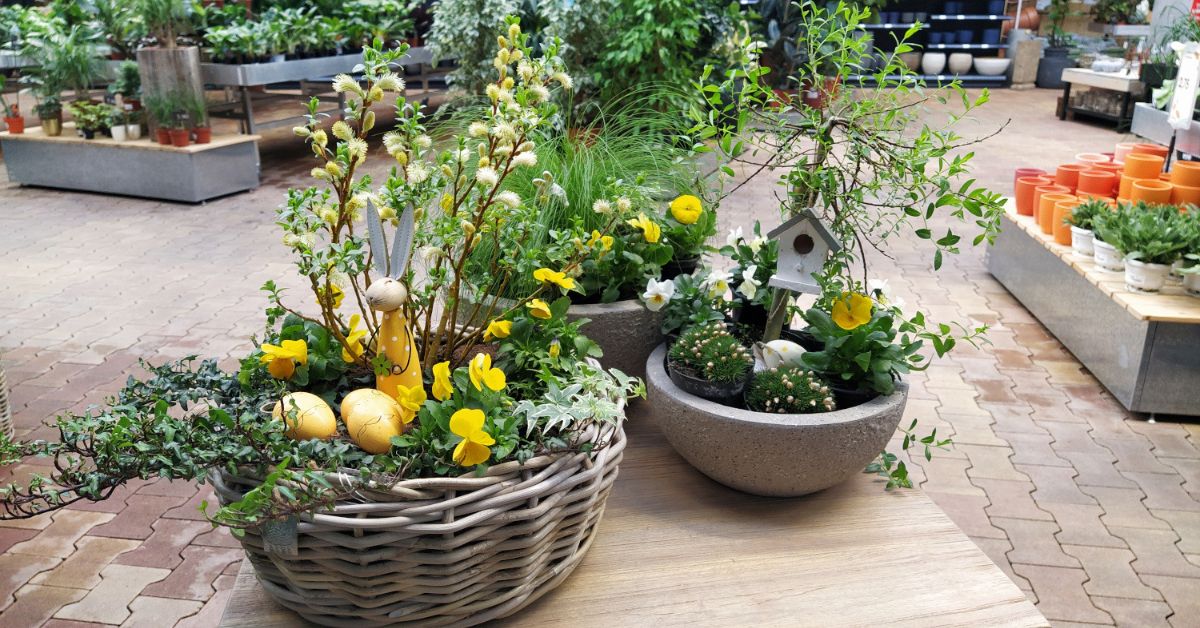 Kevadine istutusseade samm sammult videoõpetus