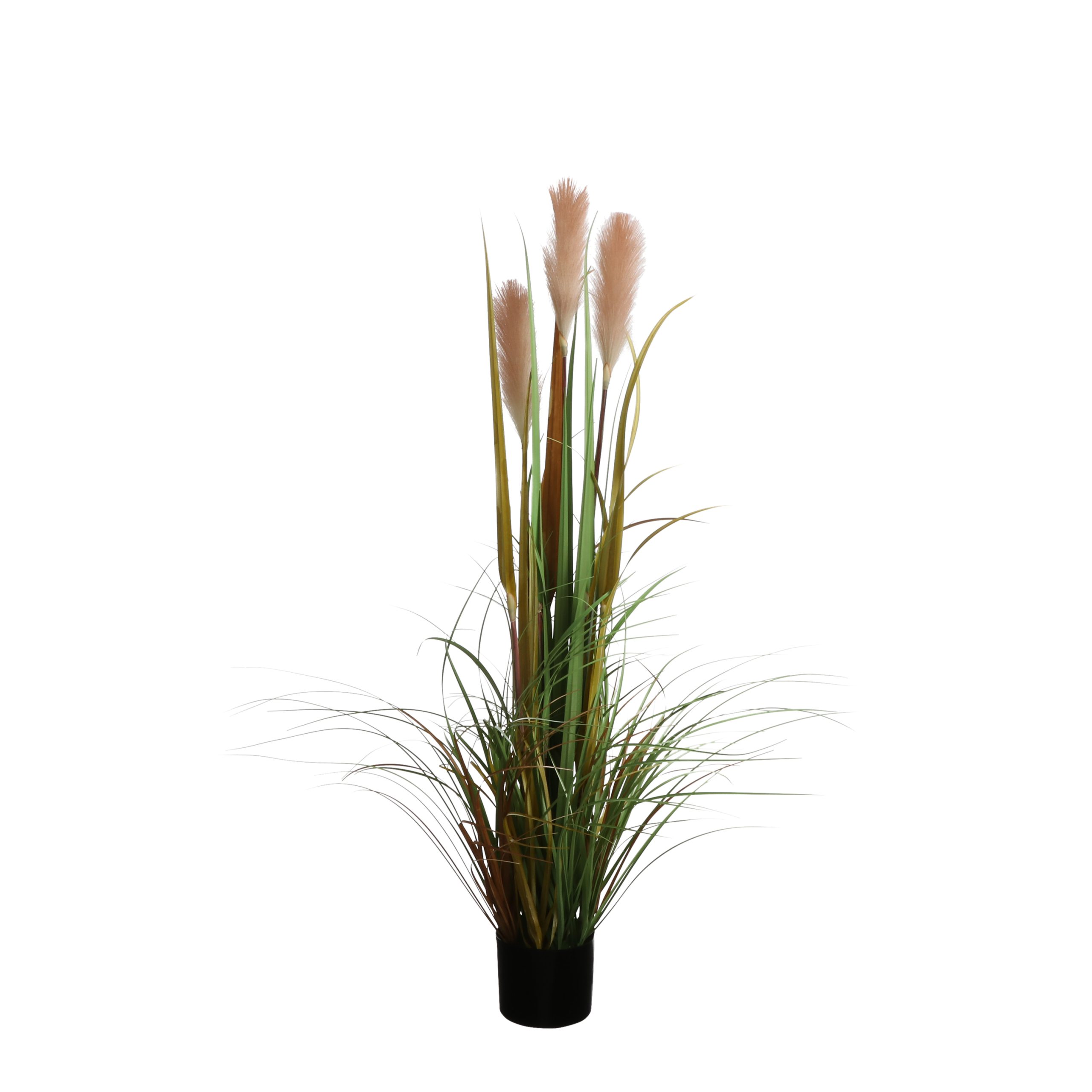 Kunstkõrreline potis foxtail 120cm