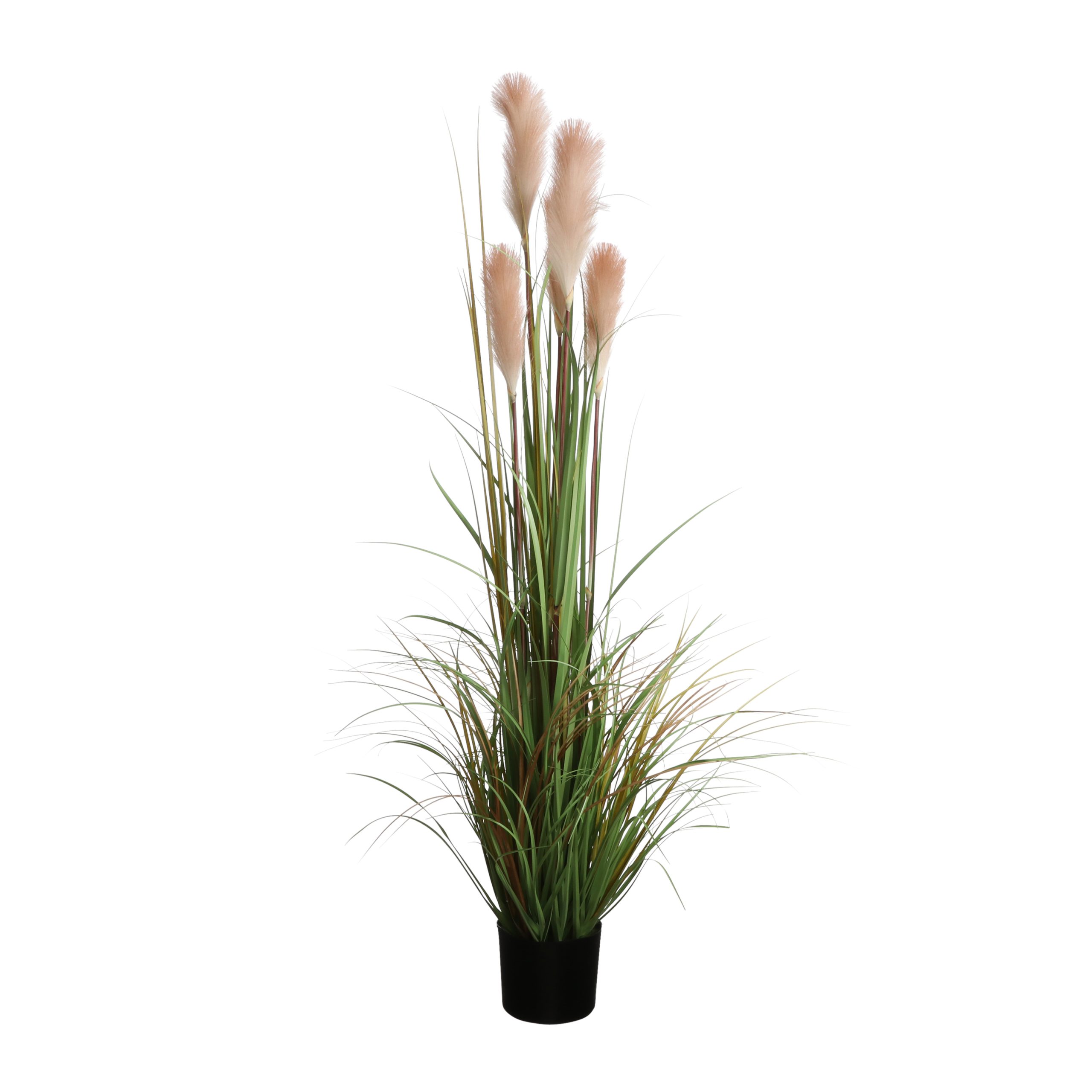 Kunstkõrreline potis foxtail 150cm