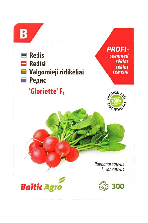 Redis 'Gloriette' F1 3g