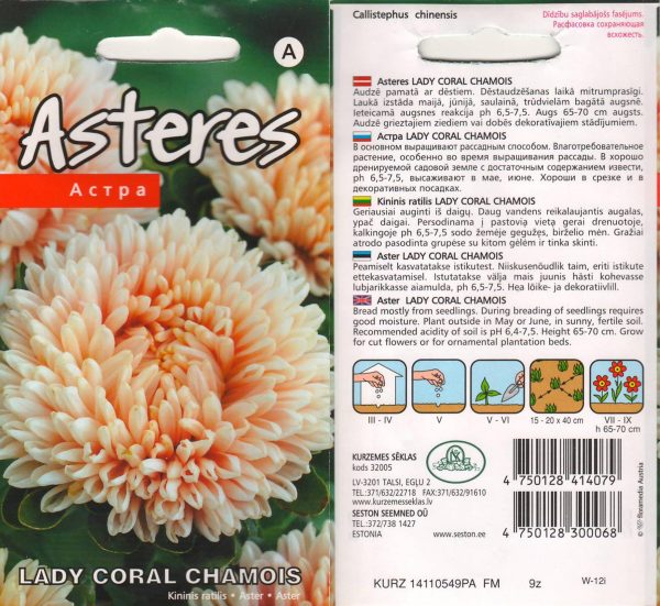 Aedaster 'Lady Coral Chamois'