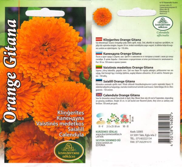 Harilik saialill 'Orange Gitana'