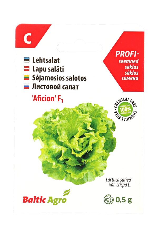 Lehtsalat 'Aficion' 0,5g