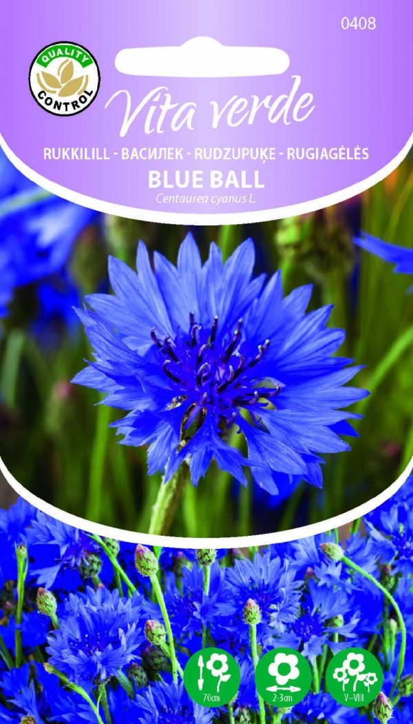 Rukkilill 'Blue Ball'