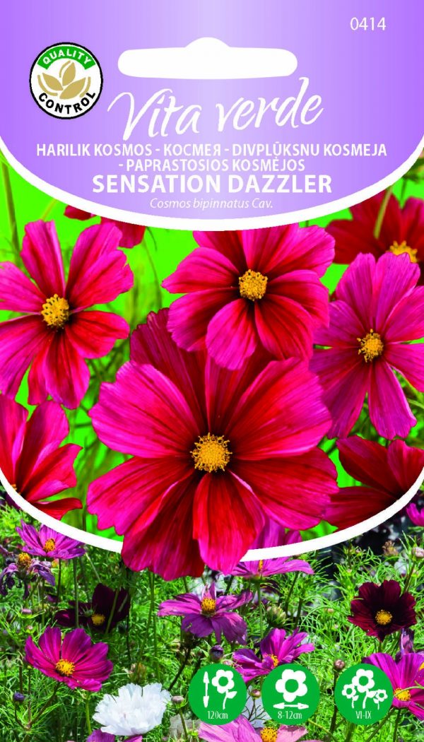 Kosmos 'Sensation Dazzler'