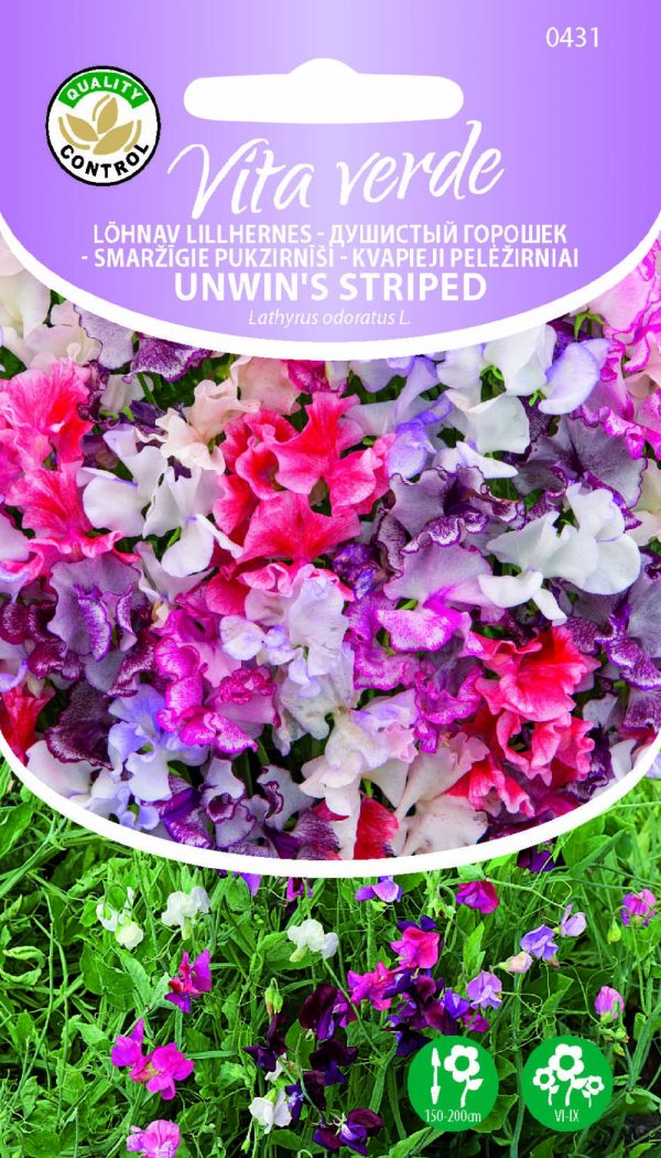 Lillhernes 'Unwins Striped'