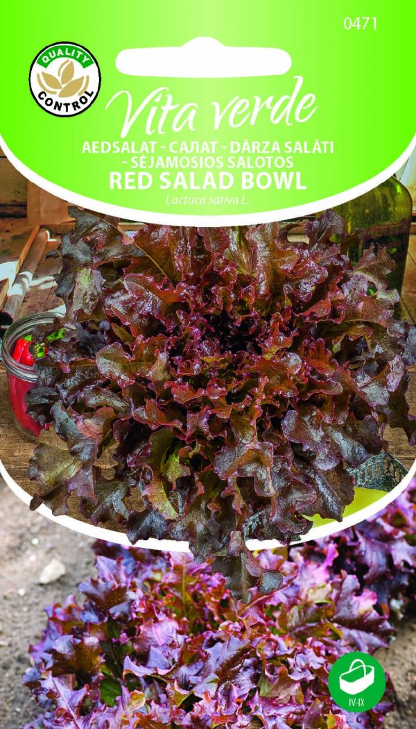 Lehtsalat 'Red Salad Bowl'