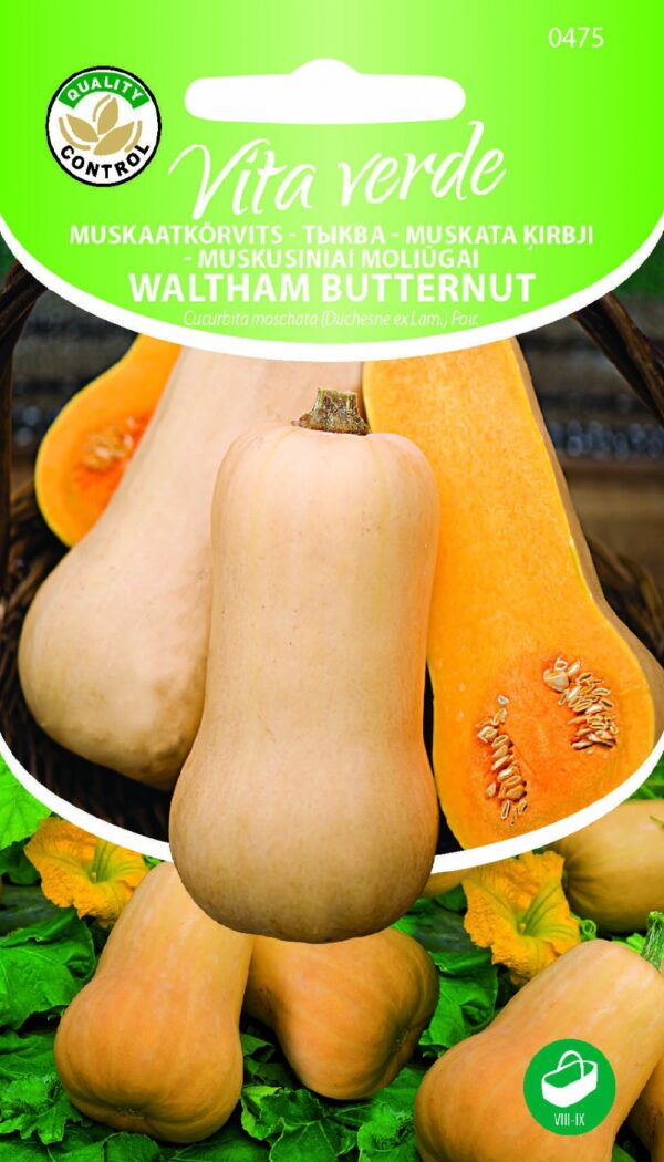 Muskuskõrvits 'Waltham Butternut'