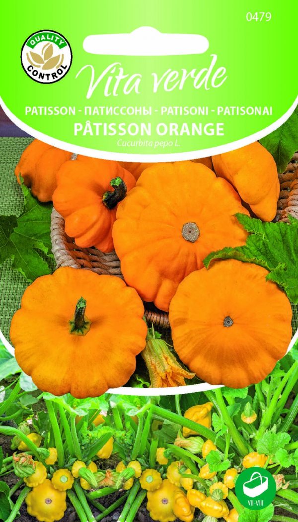 Taldrikkõrvits 'Patisson Orange'