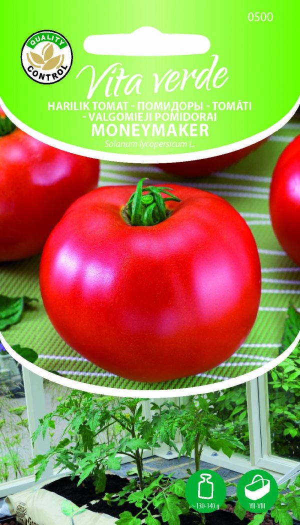 Tomat 'Moneymaker'