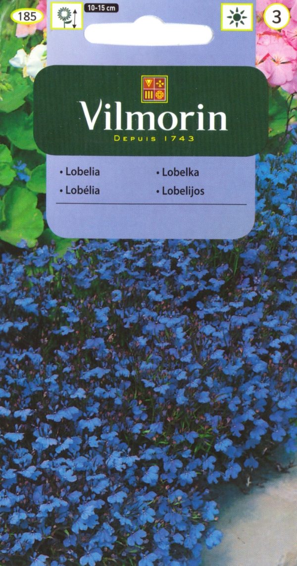 Lobeelia 'Blue Carpet'