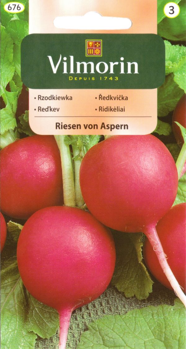 Redis 'Riesen von Aspern'