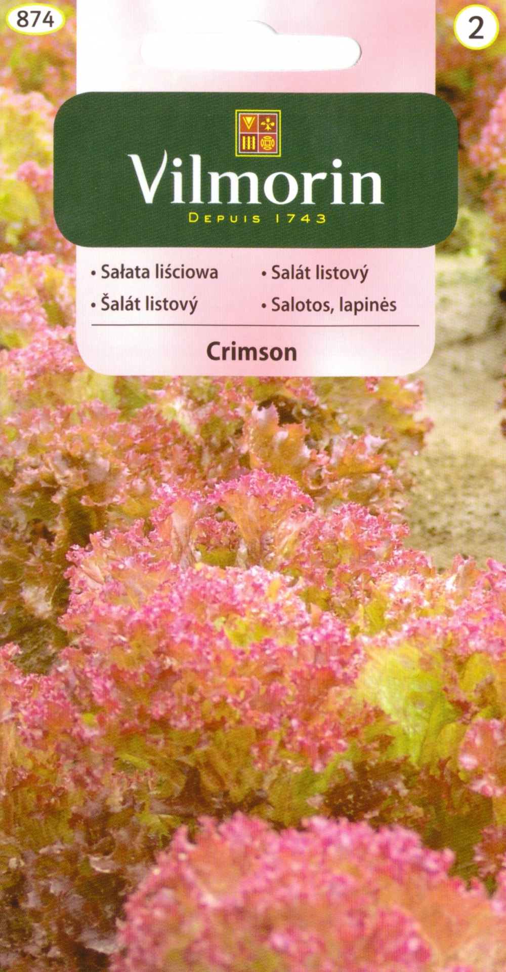 Lehtsalat ‘Crimson’