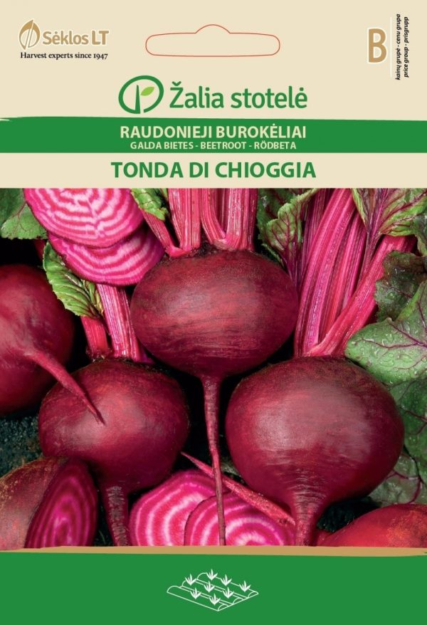 Punapeet 'Tonda Di Chioggia' B