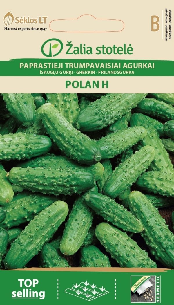 Kurk 'Polan'