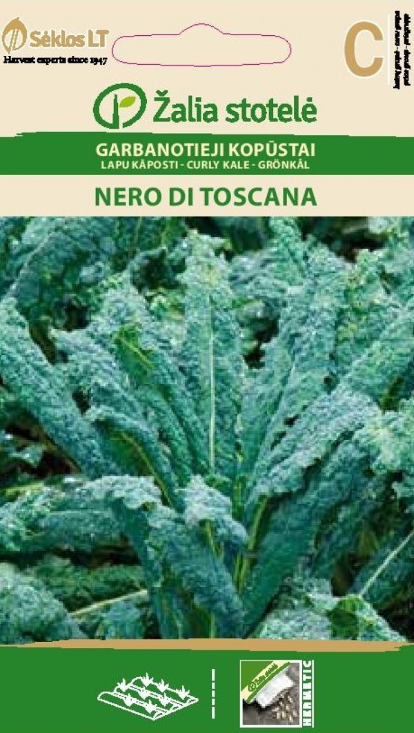 Lehtkapsas 'Nero di Toscana'