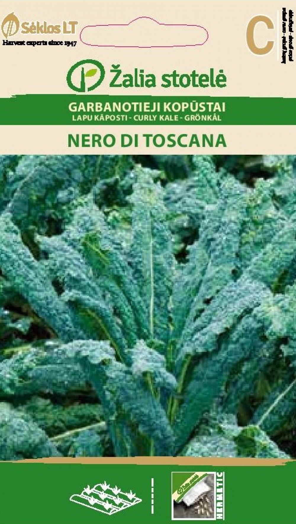 Lehtkapsas ‘Nero di Toscana’