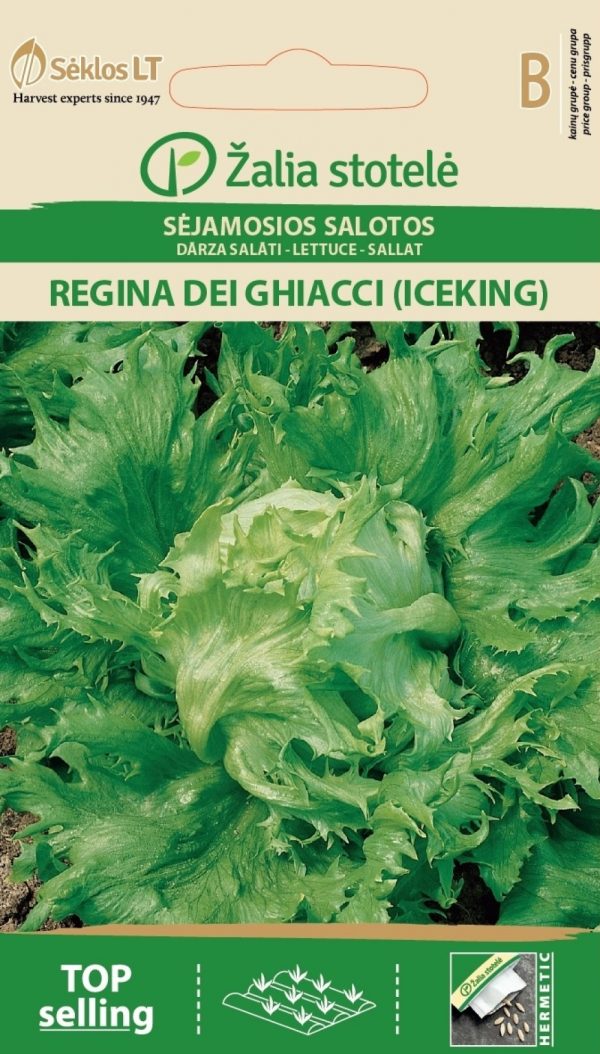 Jääsalat 'Regina Dei Chiacci' (Iceking)