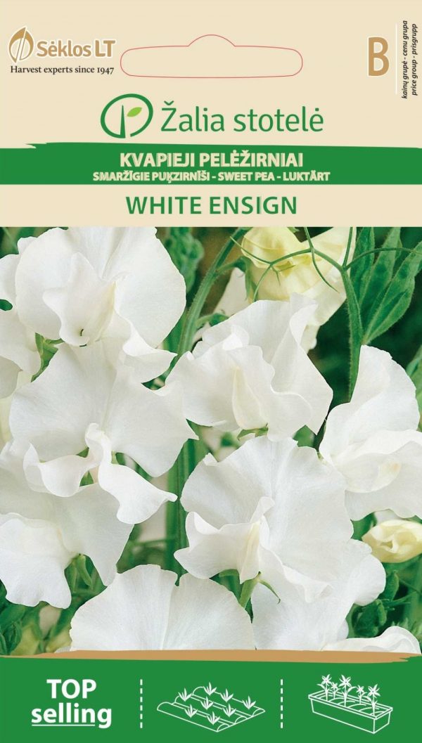 Lillhernes 'White Ensign'