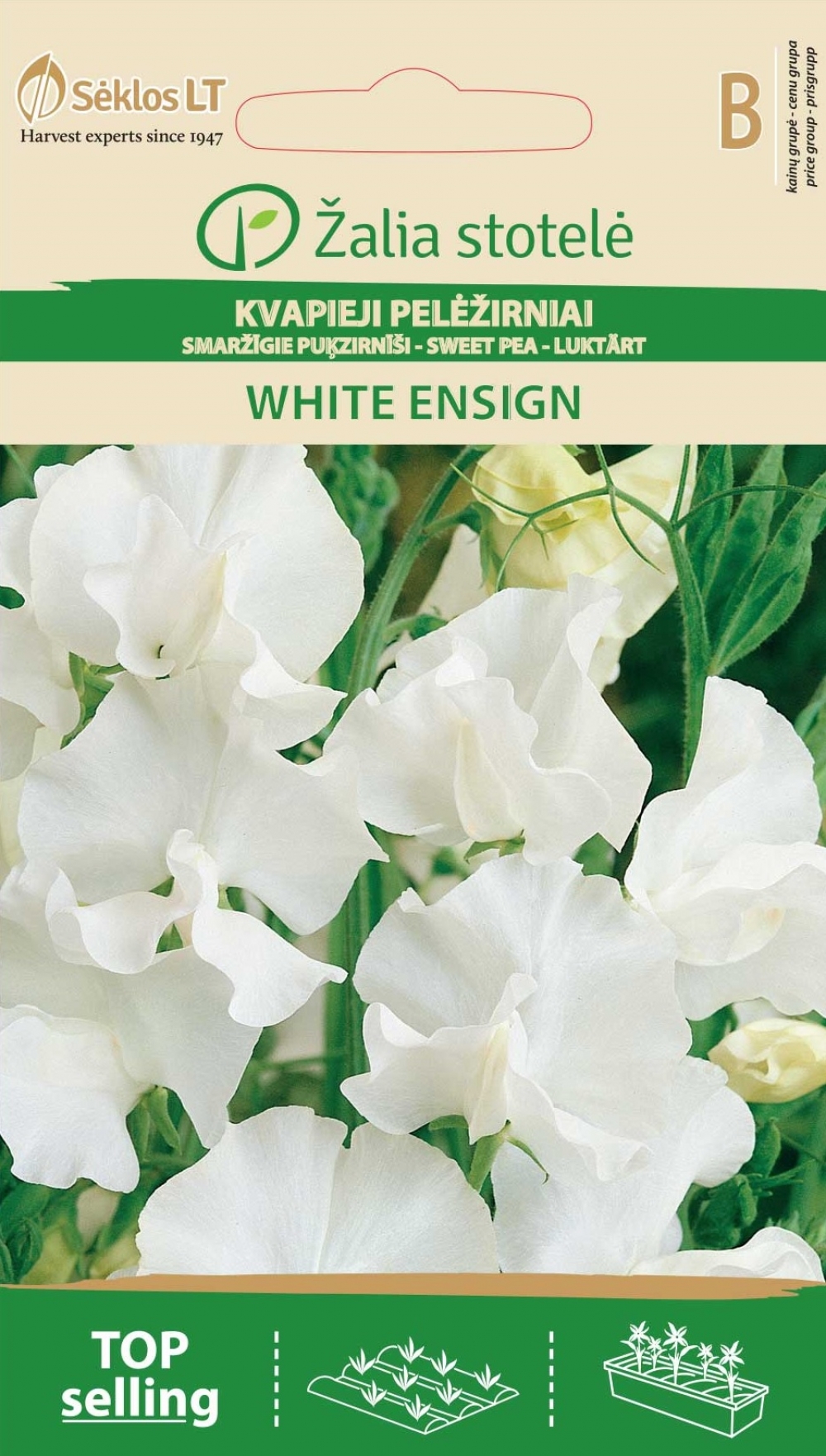 Lillhernes ‘White Ensign’