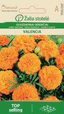 Madal peiulill ‘Valencia’