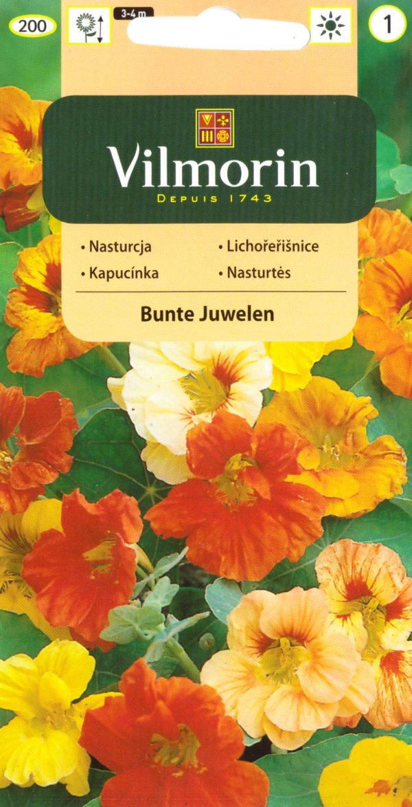 Mungalill 'Bunte Juweln'