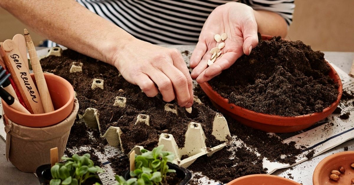 Külva kevadet koos Kekkiläga