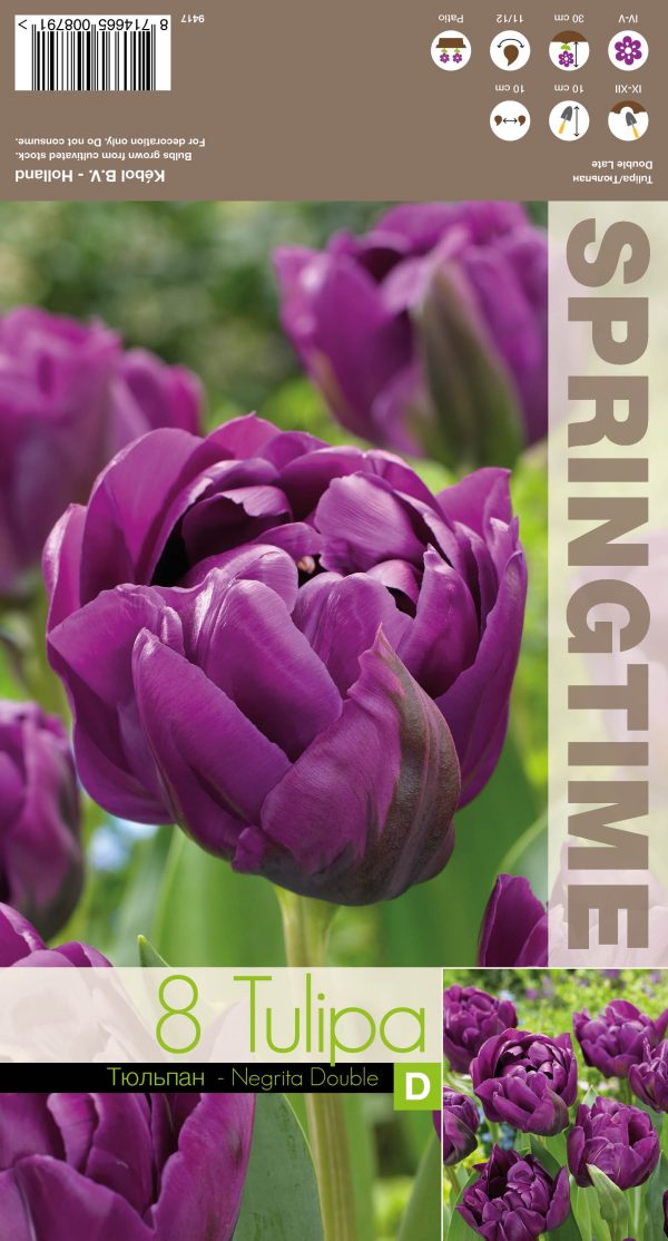 Tulp 'Negrita Double' 8tk