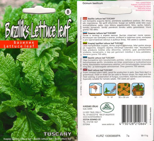 Vürtsbasiilik 'Lettuce Leaf Tuscany'