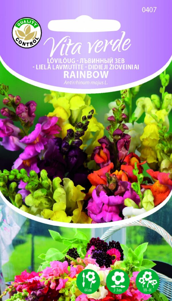 Lõvilõug 'Rainbow'