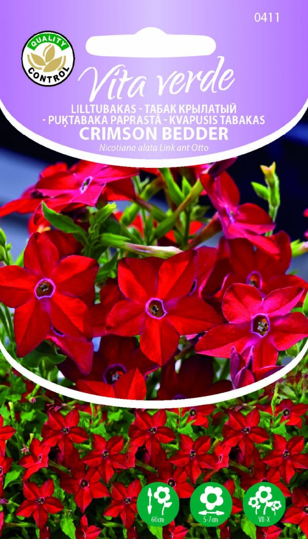 Sanderi tubakas 'Crimson Bedder'