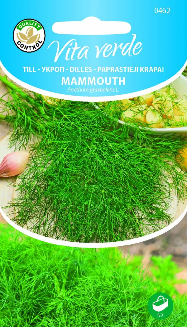 Aedtill 'Mammouth'