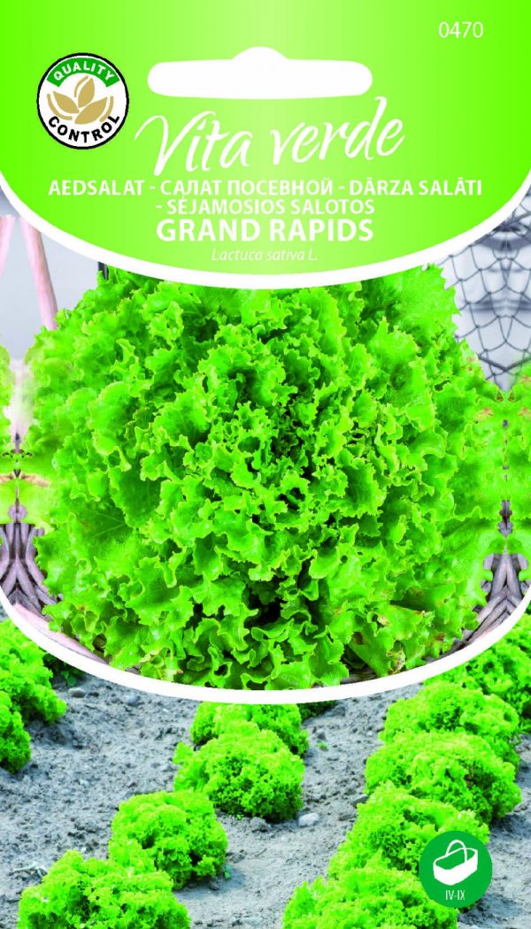 Lehtsalat 'Grand Rapids'