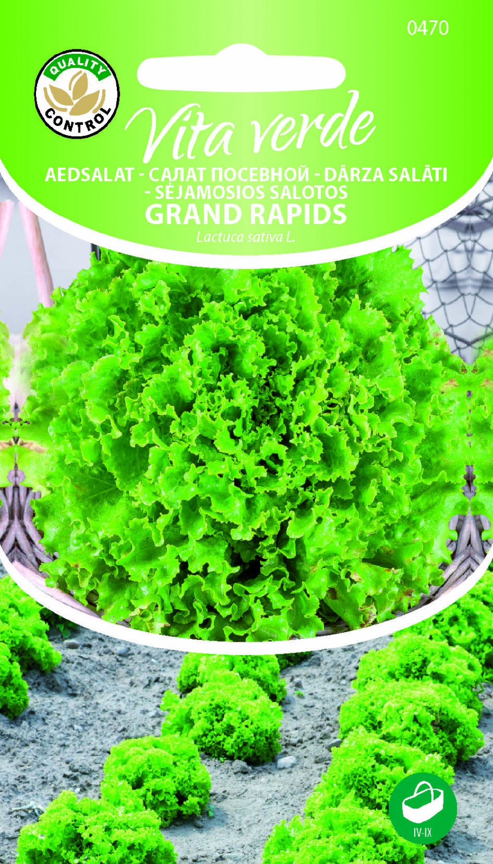 Lehtsalat ‘Grand Rapids’