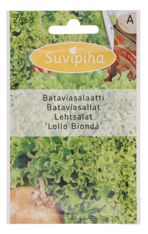 Lehtsalat 'Lollo Bionda' 960s