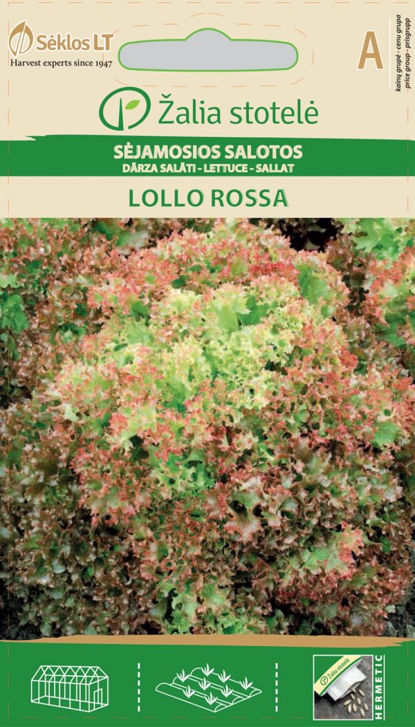 Lehtsalat 'Lollo Rossa' A