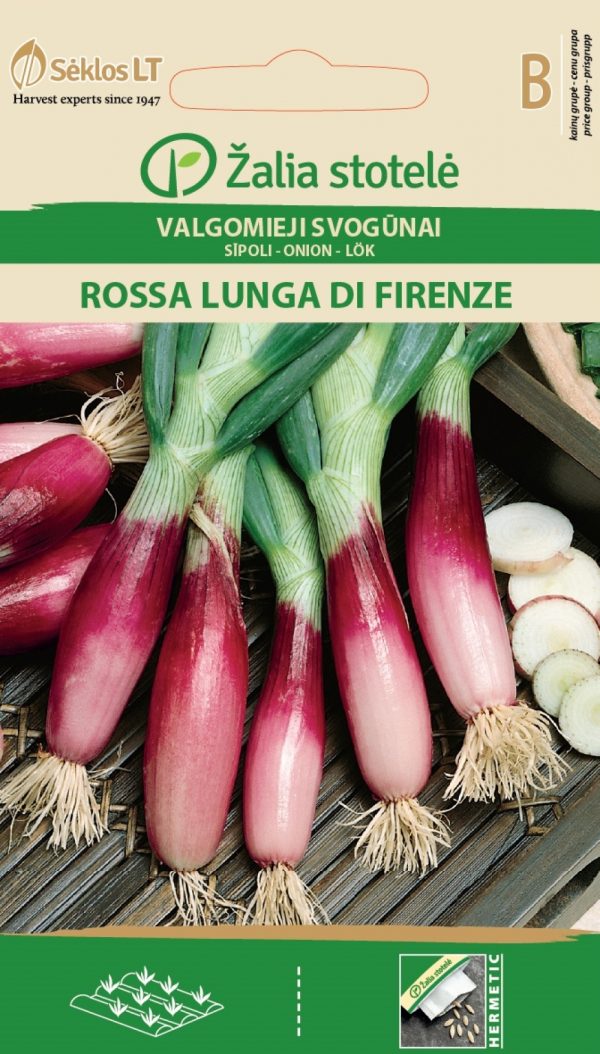 Sibul 'Rossa Lunga di Firenze' B