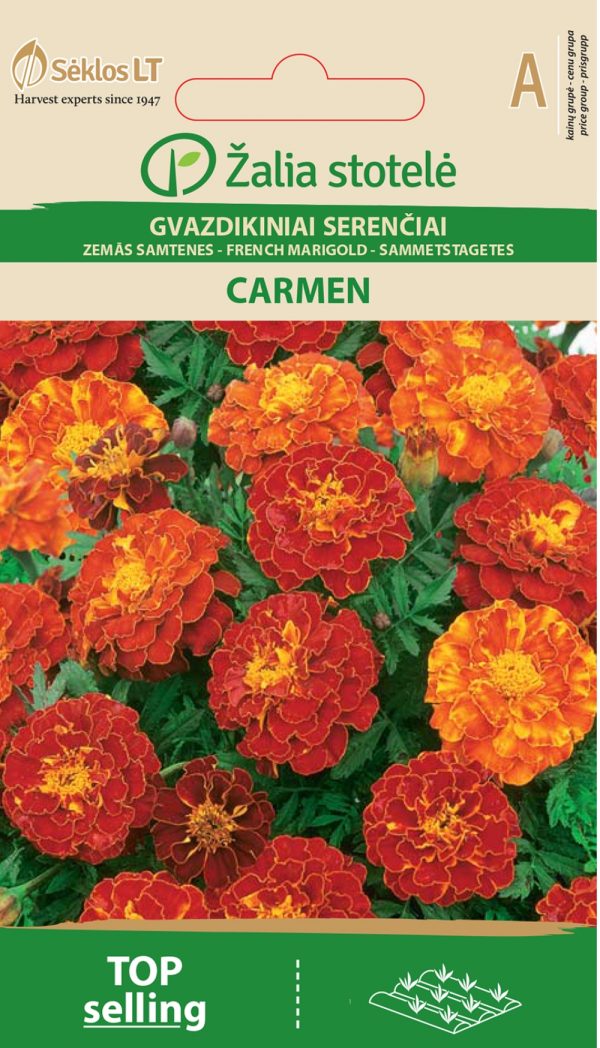 Madal peiulill 'Carmen' A