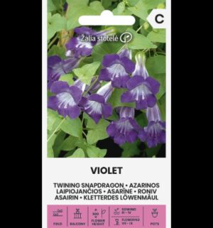 Roniv ripplõug ‘Violet’ (asariin)