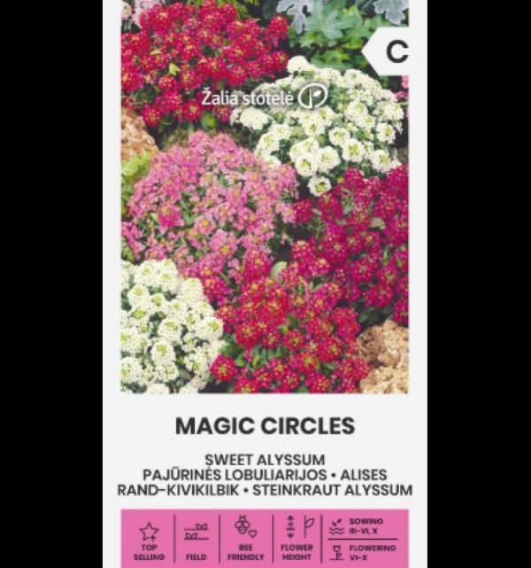 Kivikilbik 'Sweet Alyssum Magic Circles'