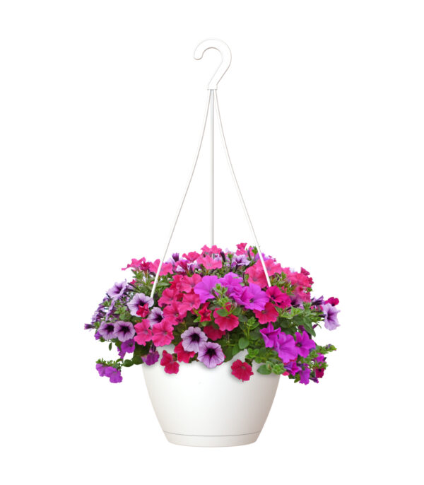 Ampel Algarve 25x17cm 6,7 l valge