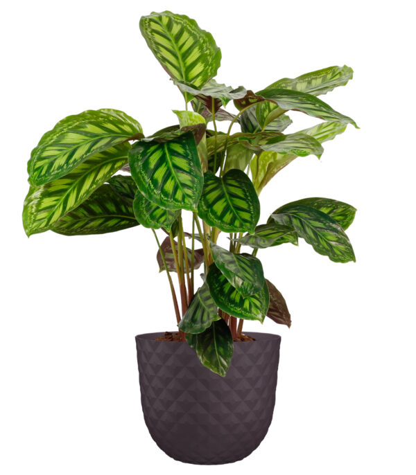 Lillepott Havana Tropical 30cm hall