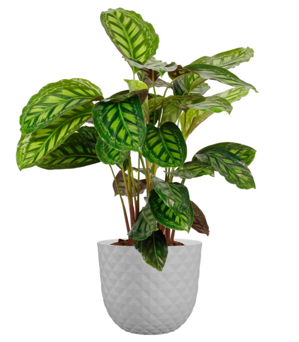 Lillepott Havana Tropical 40cm helehall