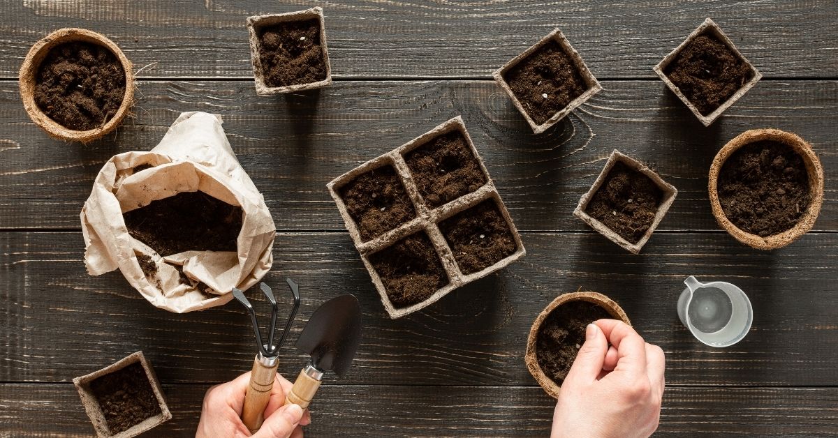 Kas seemnete külvamise aed on käes?