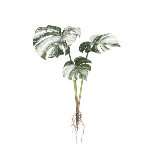 Kunstlill Monstera variegated - l74xw43xh33cm