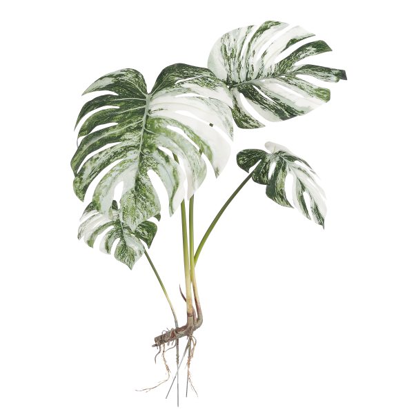 Kunstlill Monstera variegated - l90xw48xh43cm