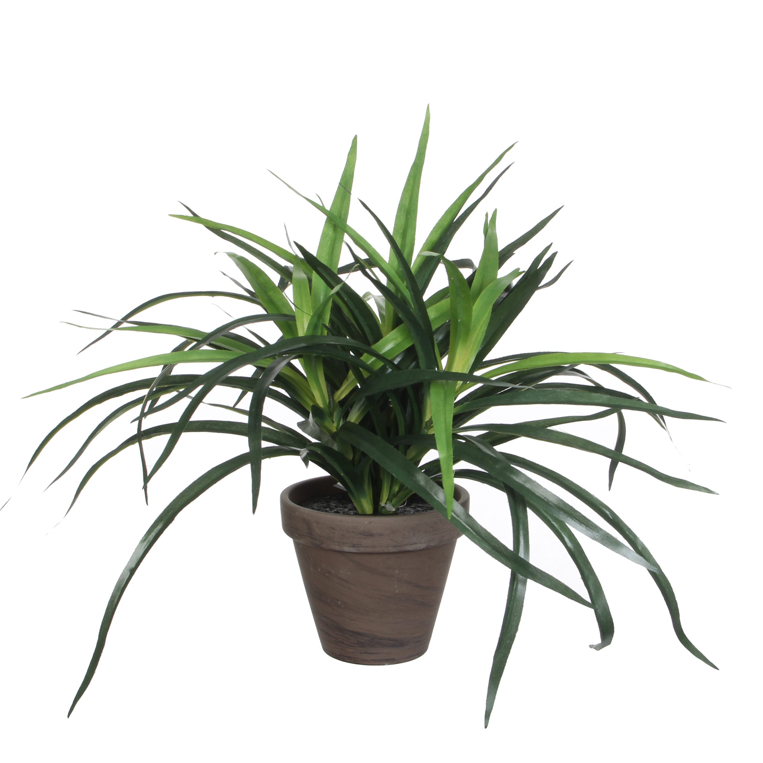 Kunsttaim Dracaena potis 11,5cm roheline