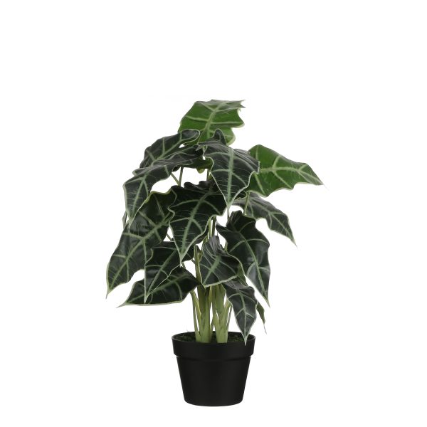 Kunstlill Alocasia h60xd30cm roheline