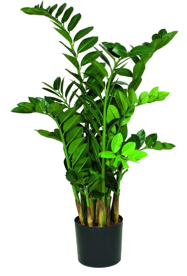 Kunsttaim Zamioculcas 65cm roheline